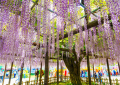 玉敷神社