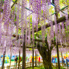 玉敷神社