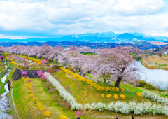 宮城・柴田町