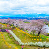 宮城・柴田町