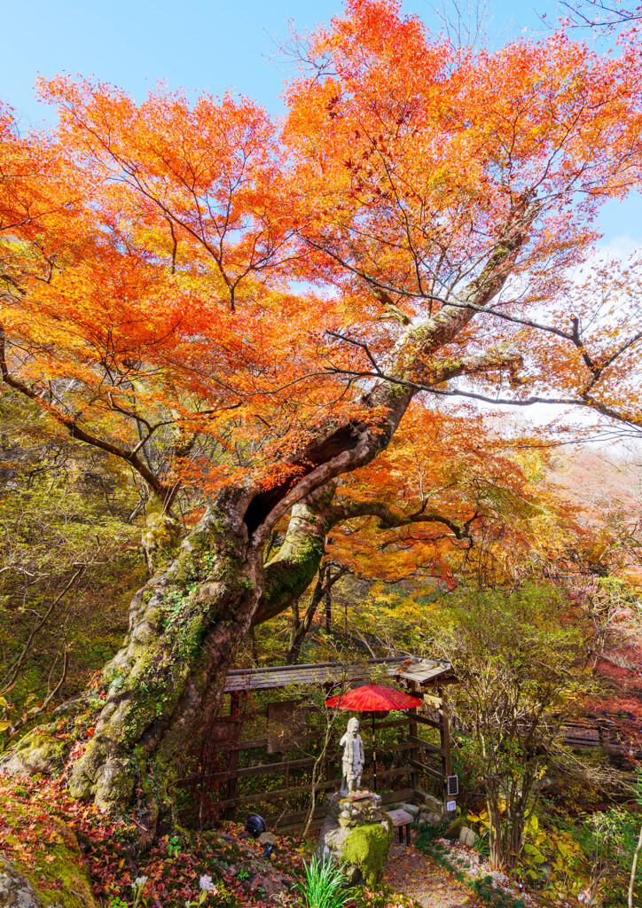 伊香保温泉