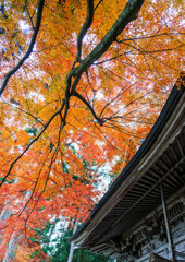 中尊寺