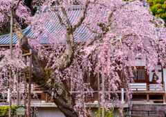 太平山・大山寺