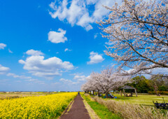 関宿城公園