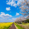 関宿城公園