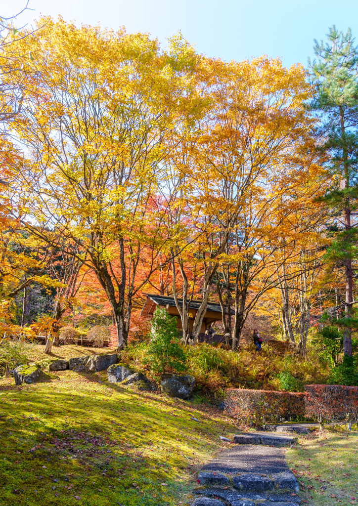 鹿沼・古峰神社
