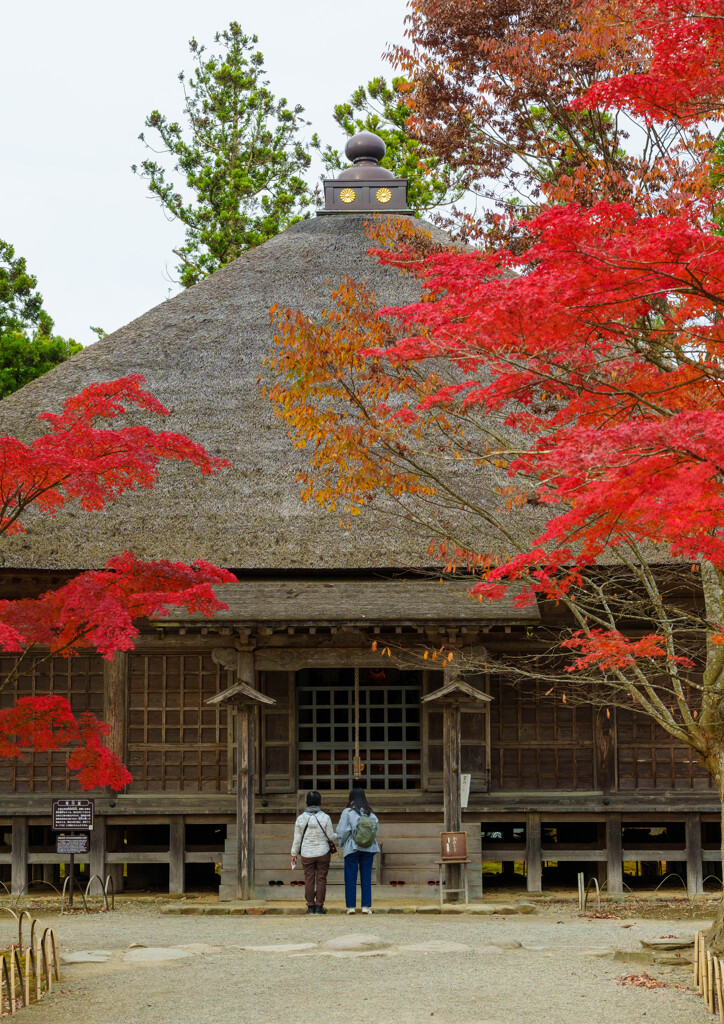 毛越寺