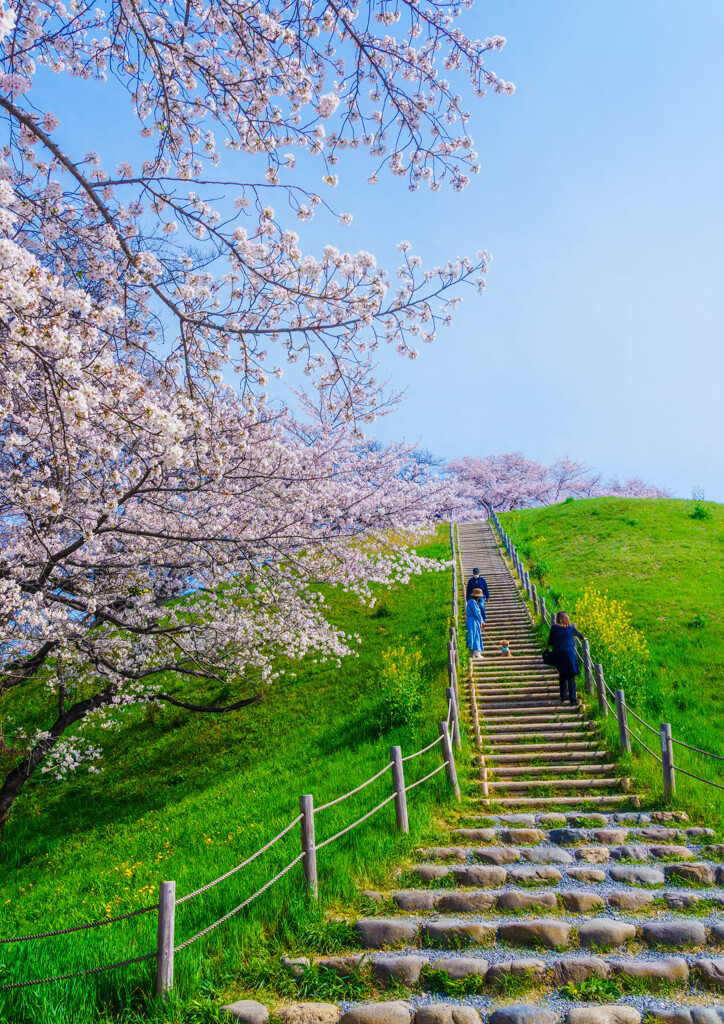 行田・丸墓山古墳