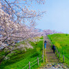 行田・丸墓山古墳