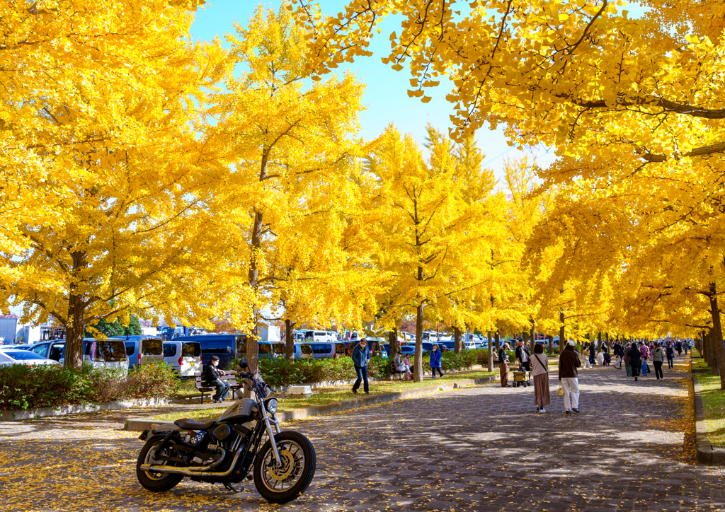 加須・花咲公園
