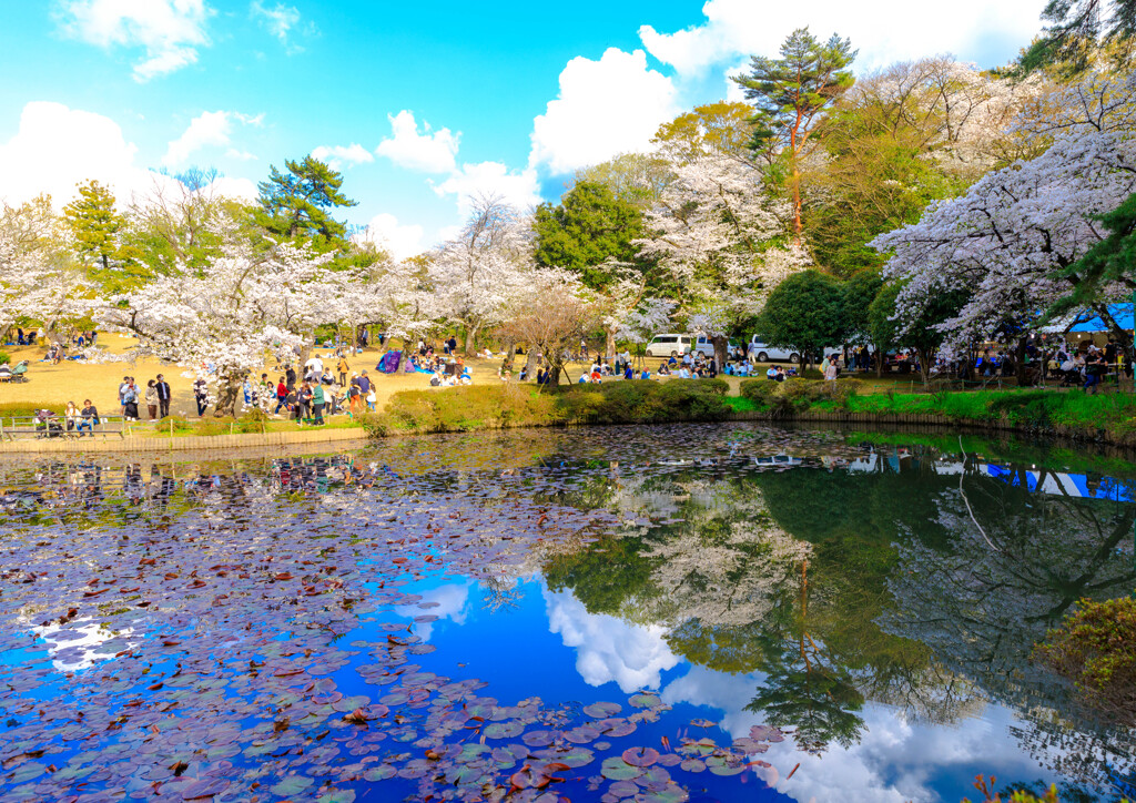 岩槻公園　３