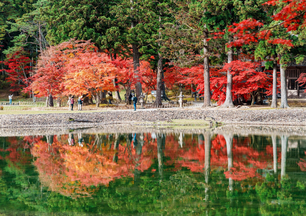 毛越寺