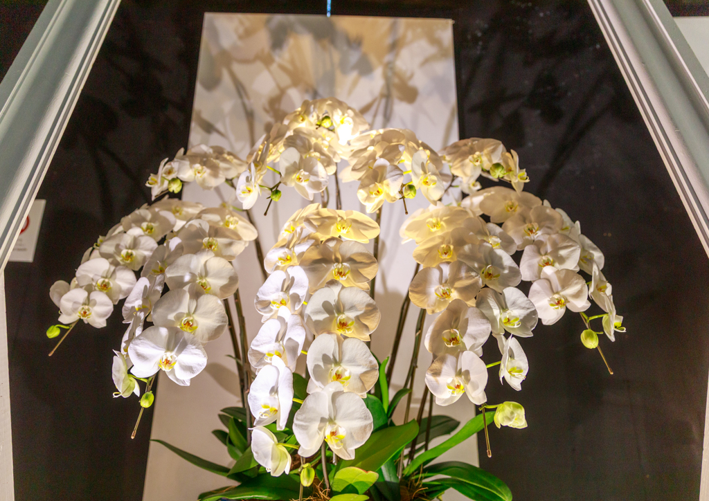 栃木花センター