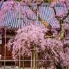 太平山・大山寺