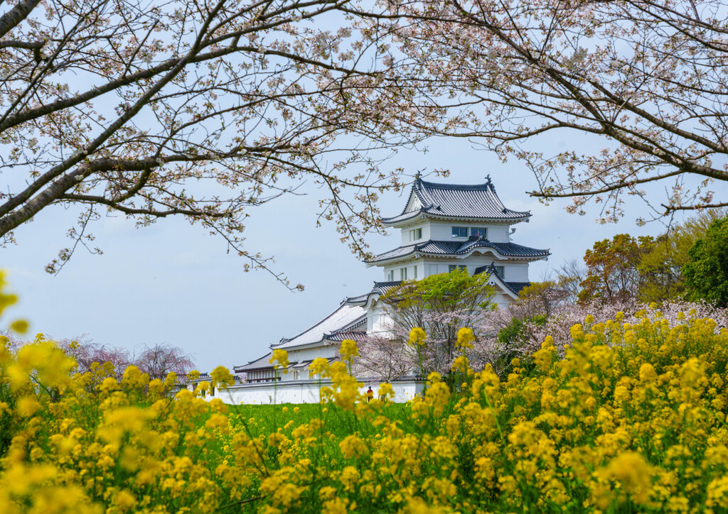 関宿城公園　３