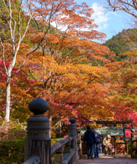 鹿沼・古峰神社