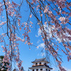 宮城・白石城