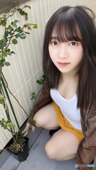 挿し木の薔薇
