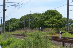 予感➡実感