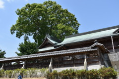 八劔神社とクスノキの木
