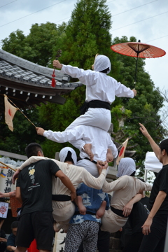 5人持ち