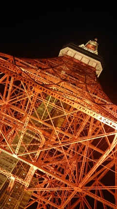 東京タワー②