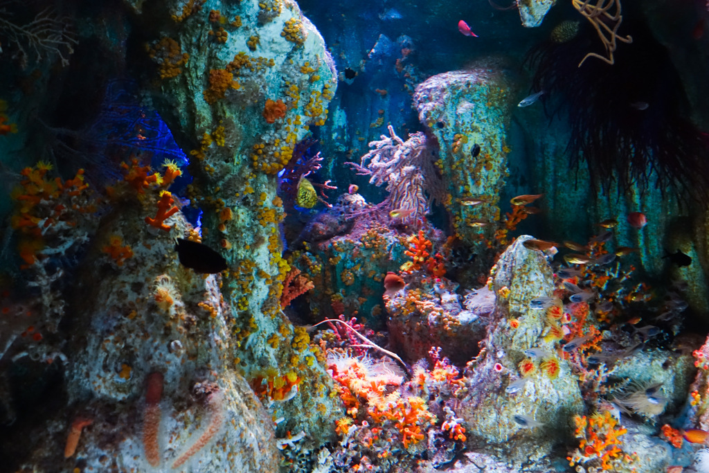水族館