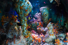 水族館
