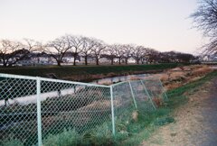 0224653_0021