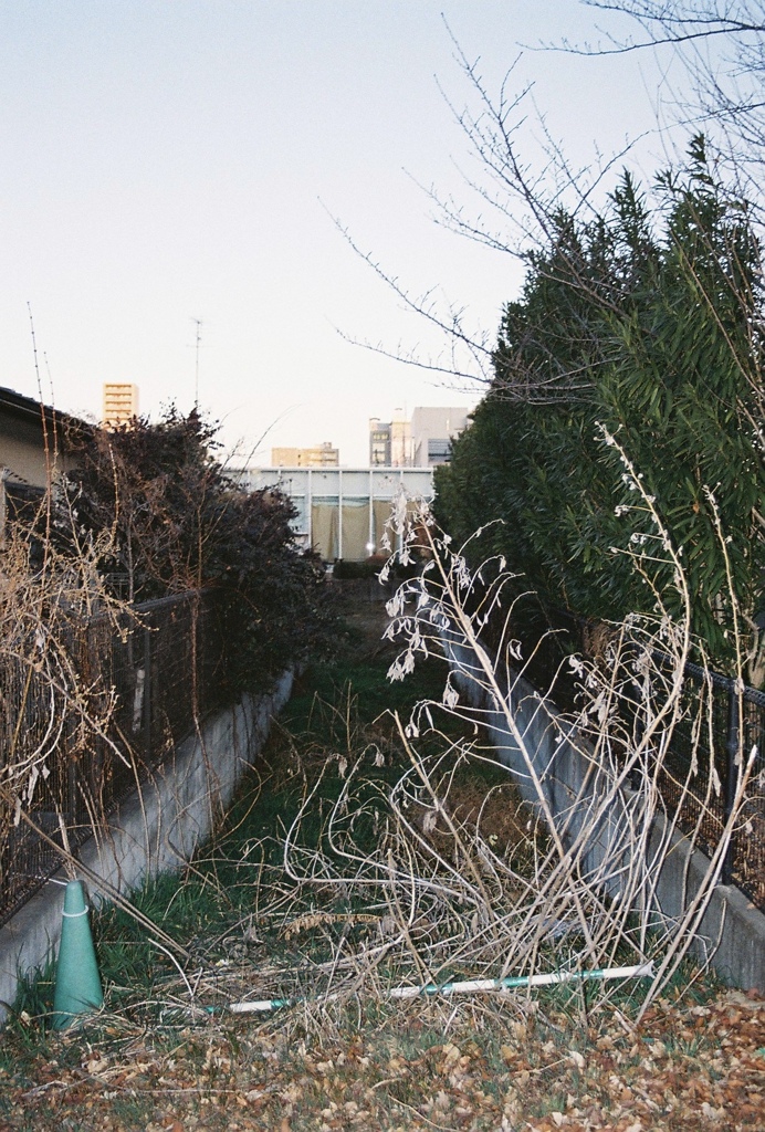 0224653_0025