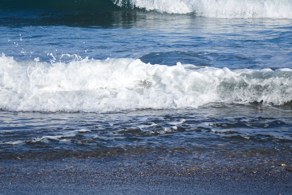 海