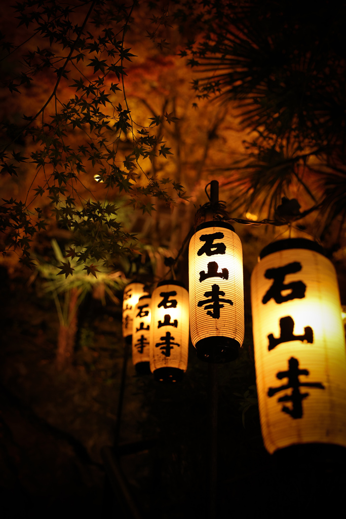 石山寺　ライトアップ