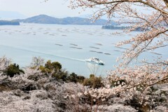正福寺山公園からの瀬戸内海②