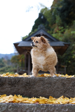 絵にならないモデル