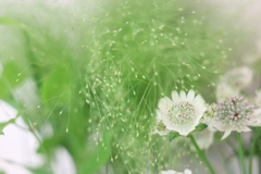 涼しそう