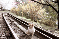 線路でひと休み♪