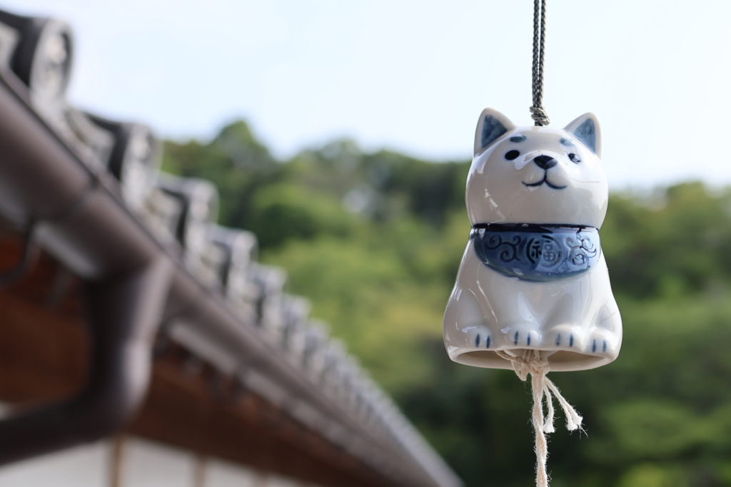 観音寺 風鈴祭り