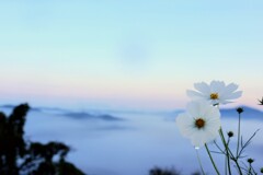 しっとりと