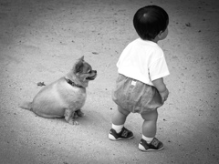 何を見てるの？