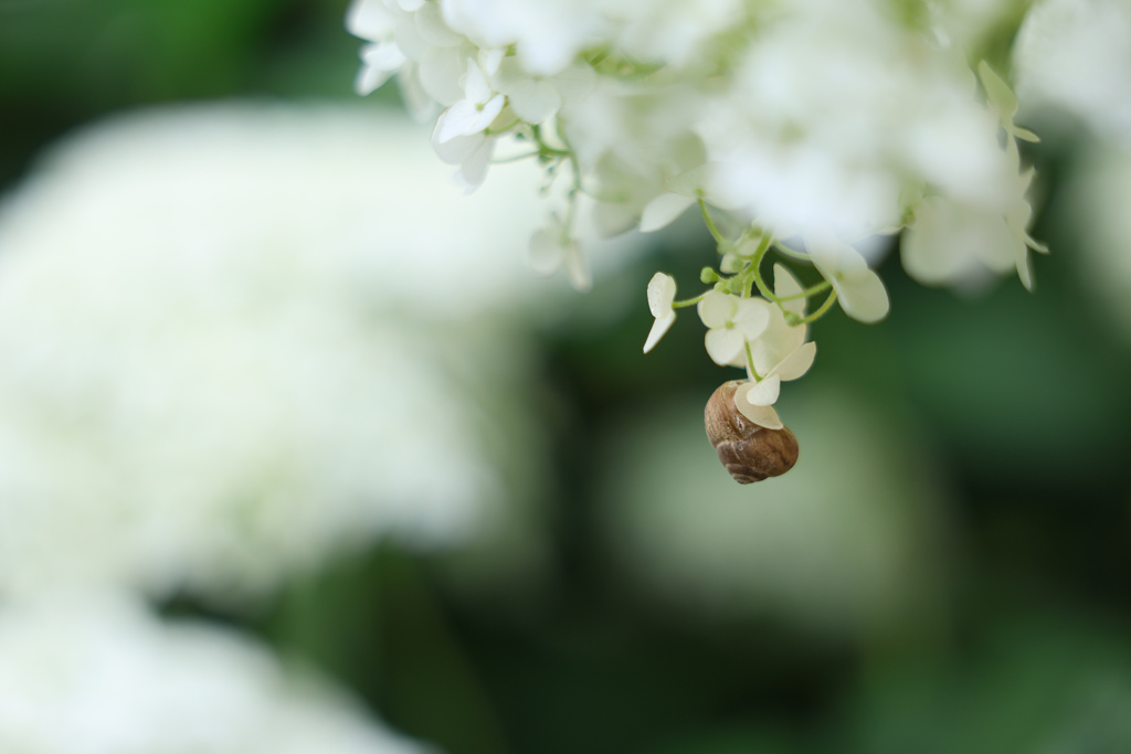 身動きとれない！