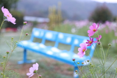 青いベンチ