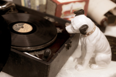 どんな音楽が流れてる？