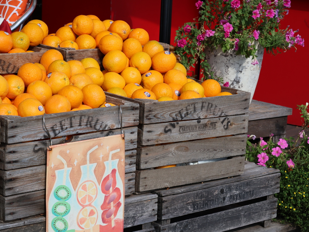 川辺のオープンカフェ②