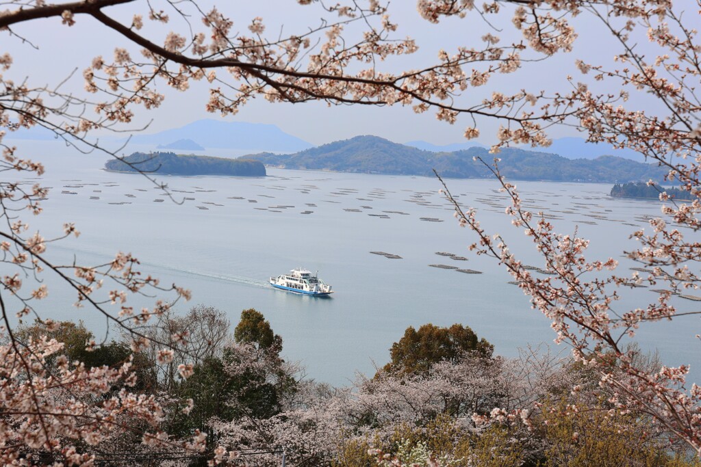 正福寺山公園からの瀬戸内海