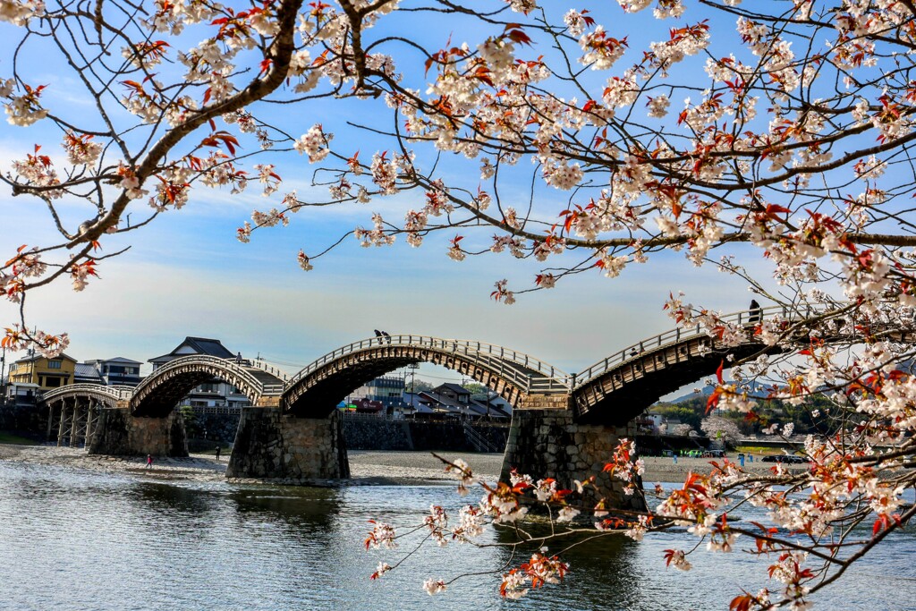 山口　錦帯橋