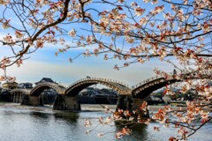 山口　錦帯橋