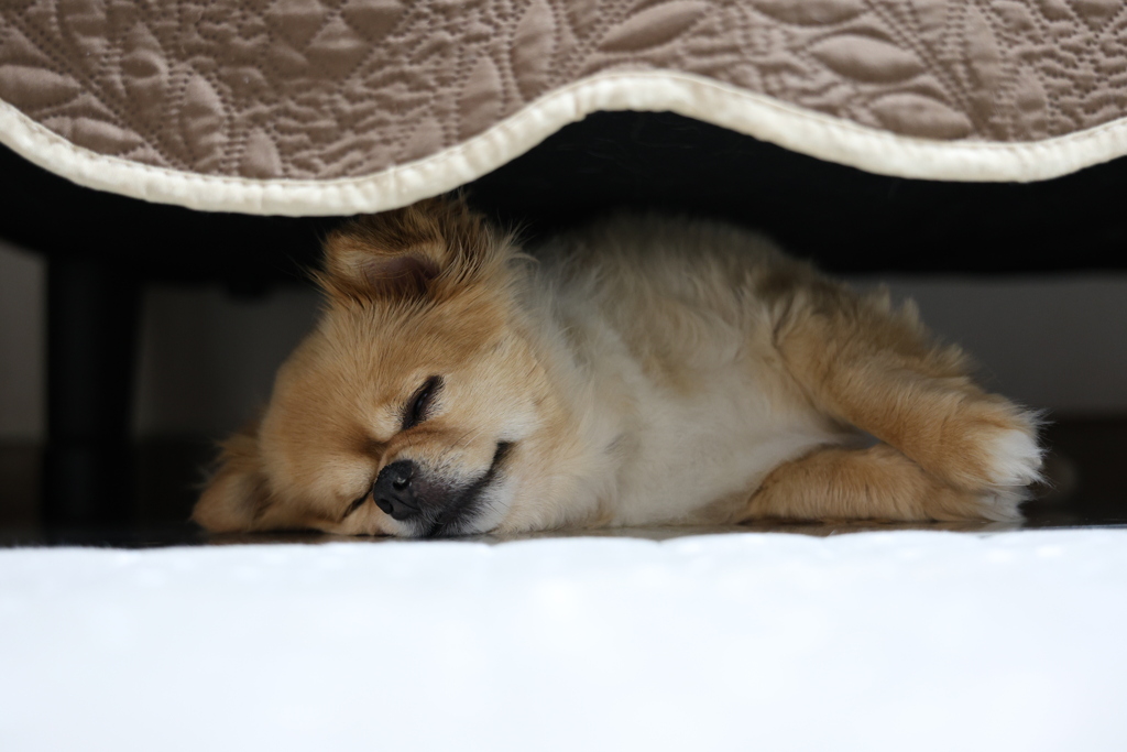 落ち着く場所はここ