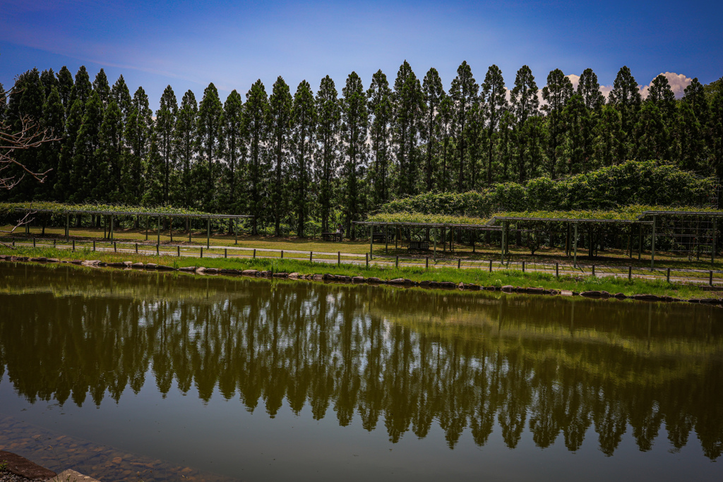 湧永満之記念庭園