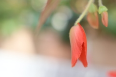 控えめに