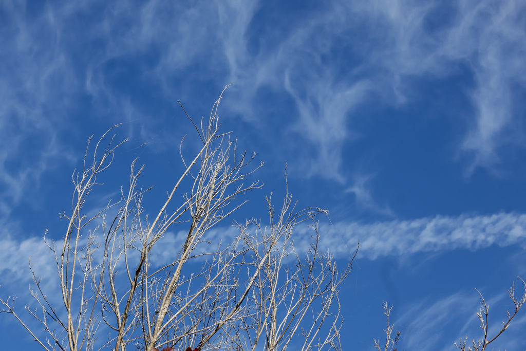 秋の空